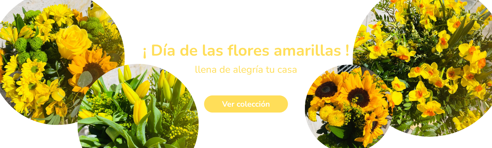 D&Iacute;A DE LAS FLORES AMARILLAS